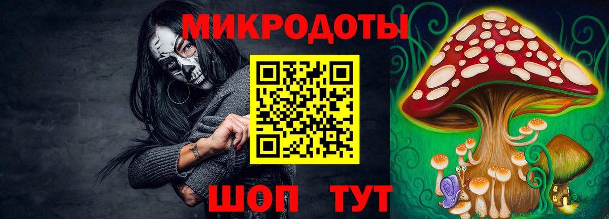 Псилоцибиновые грибы MAGIC MUSHROOMS  Вход с VPN  Нижний Тагил 