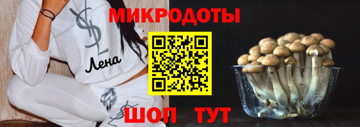 Галлюциногенные грибы прущие грибы Нижний Тагил